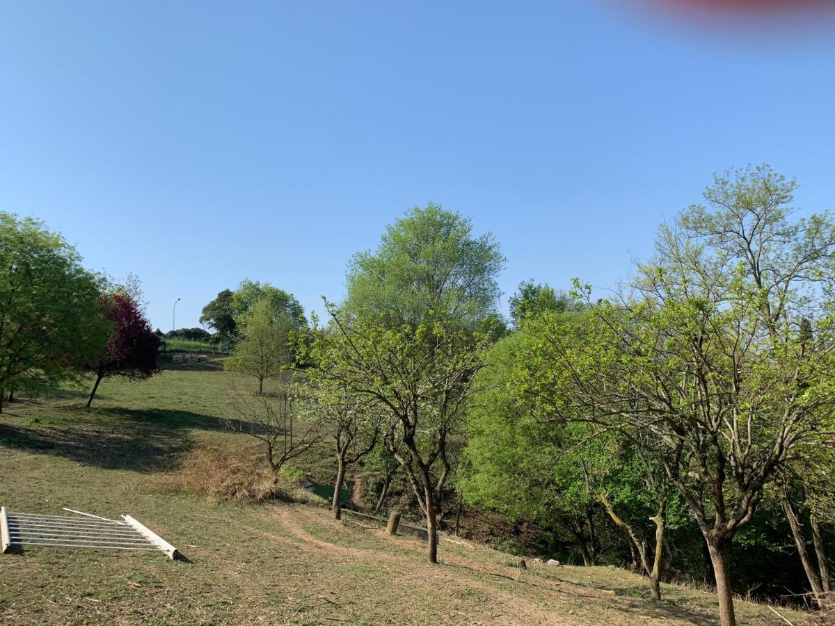 Villa Nicoletta Isidoro Verona Exterior foto